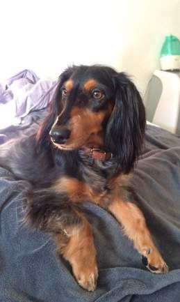 received_979385612084933